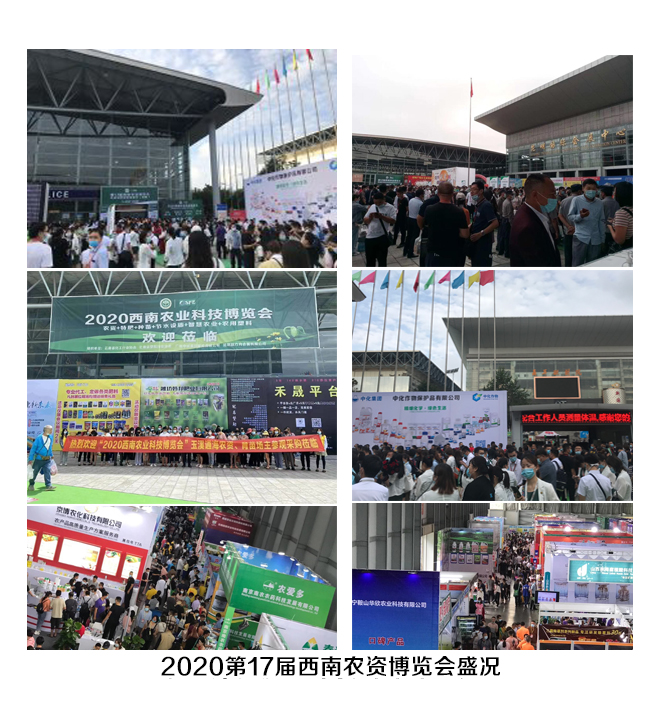 2020展会现场